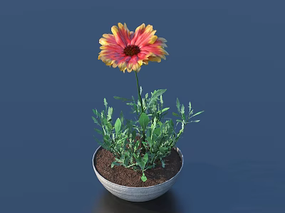 Bonsai Potted Plant With Yellow Red Gradient Petals In Gray Ceramic Pot 3d model