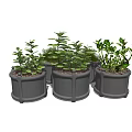 Lush Green Bonsai Potted Plants In Multiple Gray Decorative Pots 3d model