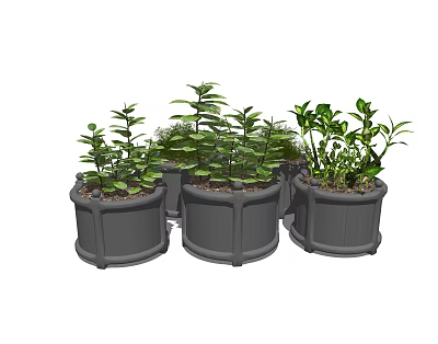 Lush Green Bonsai Potted Plants In Multiple Gray Decorative Pots 3d model