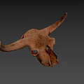 Detailed Bovine Skull With Natural Bone Texture And Horns Close Up View