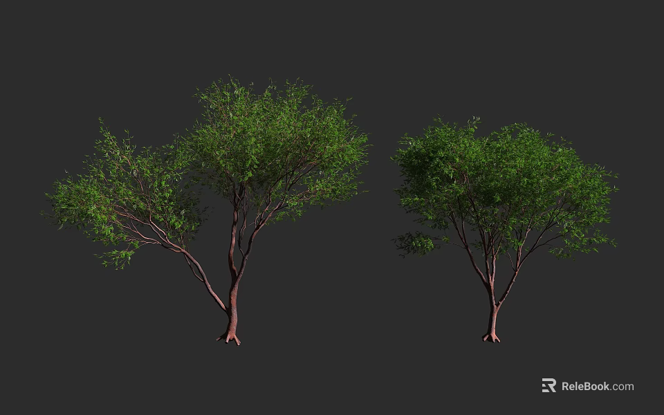 Two Arbor Trees with Green Foliage and Brown Trunks on Dark Background 3d model 