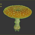 Vibrant Orange Mushroom with White Spots on Cap and White Stem Having Soil at Base