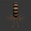 Nautilus Marine Animal With Detailed Striped Spiral Shell And Intricate Tentacles