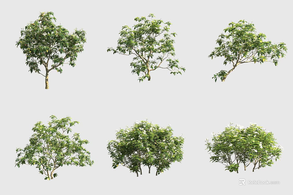 Various Green Shrubs Displaying Different Foliage Forms For Garden Landscaping 3d model 