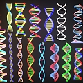 DNA DNA Sequence Cell Gene Technology Light Geometry Shape Geometry Luminescent Decoration Night Scene Decoration 3d model