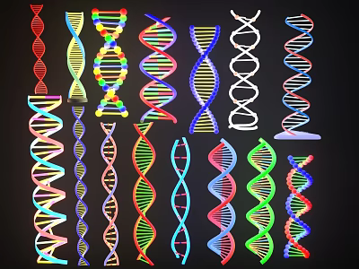 Colorful DNA Double Helix Models in Various Designs for Scientific Study 3d model