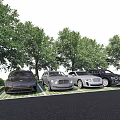 Luxury Cars Parked On Green Grid Patterned Ground With Trees In Background