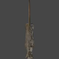 Realistic Puma 3D Model With Detailed Fur And Blue Eyes On Gray Background