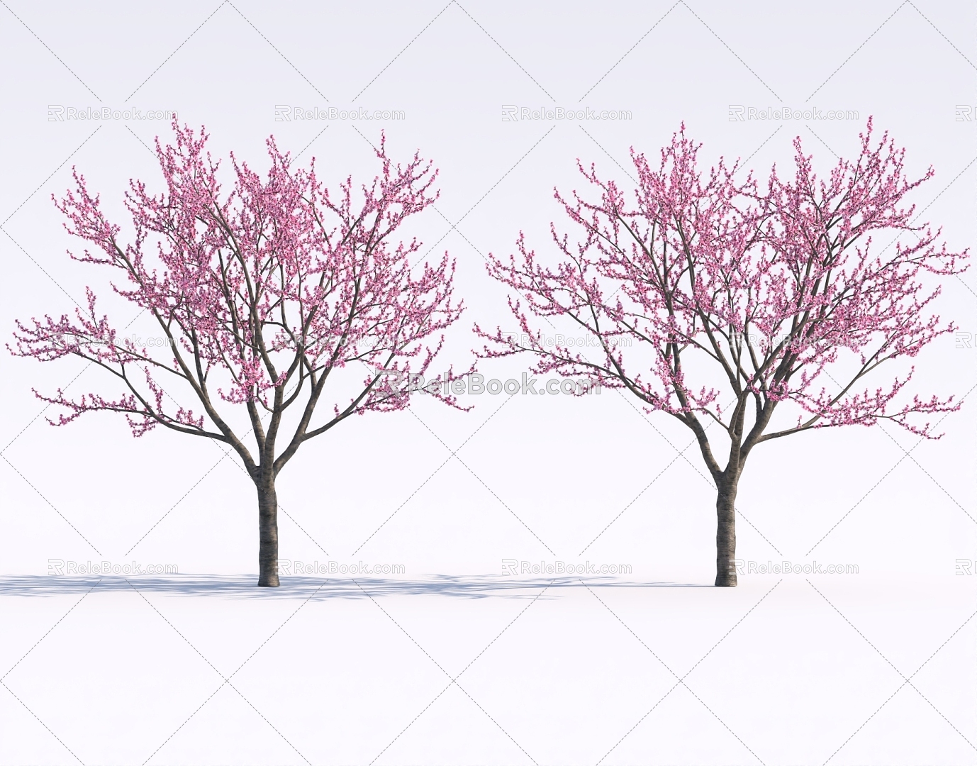 Garden Peach Blossom Tree Cherry Tree Group Landscape Green Planting 3d model