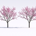 Garden Peach Blossom Tree Cherry Tree Group Landscape Green Planting 3d model