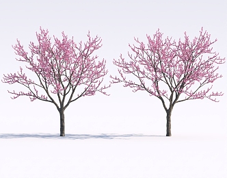 Garden Peach Blossom Tree Cherry Tree Group Landscape Green Planting 3d model