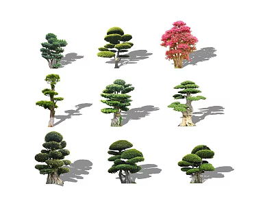 Various Artistically Styled Trees With Different Shapes Green Foliage And Pink Blossom 3d model