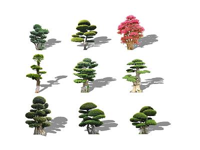 2d landscape tree landscape plant modeling tree bright privet safflower following wooden pile old tree pile modeling white wax 3d model