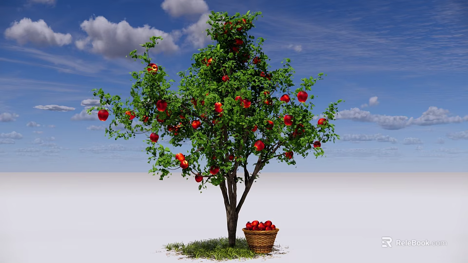 Red Fruit Bearing Tree With Basket of Fruits Under Against Blue Sky and White Clouds 3d model 