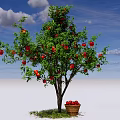 Red Fruit Bearing Tree With Basket of Fruits Under Against Blue Sky and White Clouds