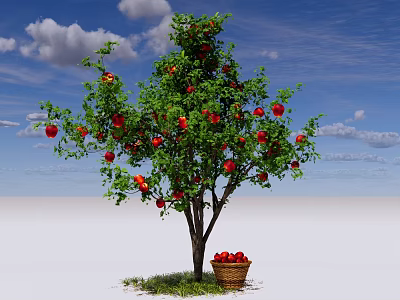 Red Fruit Bearing Tree With Basket of Fruits Under Against Blue Sky and White Clouds 3d model