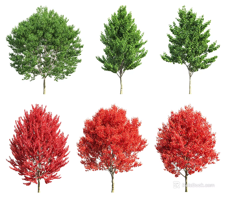 Various Arbor Types With Green And Red Foliage Arranged In Rows 3d model 