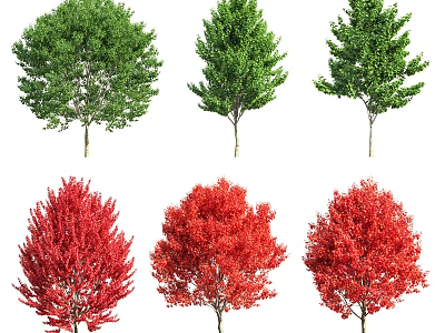 Various Arbor Types With Green And Red Foliage Arranged In Rows 3d model