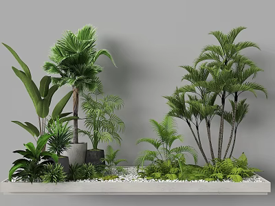 Garden Landscape With Various Green Plants Palm Trees And White Pebbles On Light Gray Platform 3d model