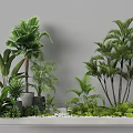 Garden Landscape With Various Green Plants Palm Trees And White Pebbles On Light Gray Platform