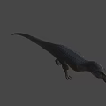 Realistic Tyrannosaurus Dinosaur 3D Model With Detailed Texture And Gray Background