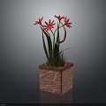 Potted Plant With Red Flowers Green Leaves In Pink Square Textured Pot