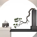 Elegant Bonsai Pine Tree on Black Pedestal with White Base and Circular Background 3d model