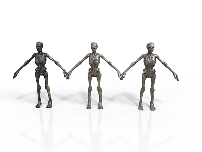 Animal Skeletons Three Figurines Standing Hand in Hand on White Surface 3d model