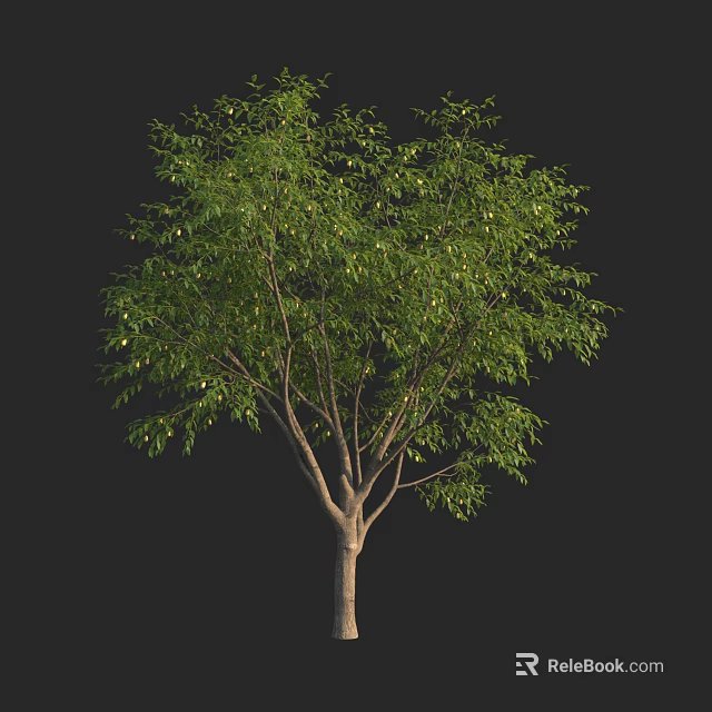 Tall Arbor With Lush Green Foliage And Strong Trunk On Black Background 3d model 