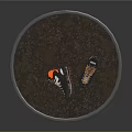 Black And Orange Outdoor Hiking Boots With White Laces And Slip Resistant Outsole