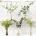 Elegant Green Leafy Plants In Glass Vases On White Shelf