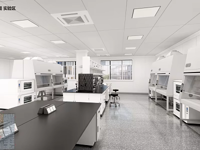 Modern Laboratory Interior With Black Workbench Fume Hoods And Lab Equipment 3d model