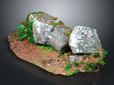 Wood and Stone Materials Natural Decorative Landscape with Moss Ferns and Earthy Ground 3d model