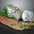 Wood and Stone Materials Natural Decorative Landscape with Moss Ferns and Earthy Ground