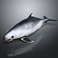 Realistic Gray And White Dolphin With Open Mouth Fins Tail Shiny Surface And Reflection