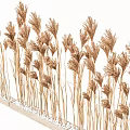 Natural Reed Grass Decorative Arrangement With White Pebbles And Tall Stems