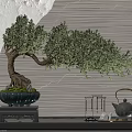 Bonsai Tree in Green Pot on Wooden Stand Against Textured Wall with Teapot and Accessories