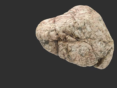 High Quality Natural Stone with Rough Textured Surface and Irregular Decorative Shape 3d model