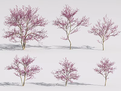 Trees In Different Shapes With Pink Blossoms And Light Trunks For Landscape Design 3d model