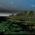 Serene Lake Landscape With Lotus Leaves Lotus Flowers Green Plants And Birds In Blue Sky