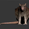 Realistic Brown Rat 3D Model With Detailed Fur And Shiny Surface Reflection 3d model