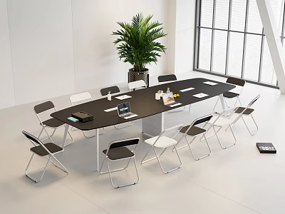 Modern Office Conference Table With Black Surface White Black Chairs Green Plant And Large Windows 3d model