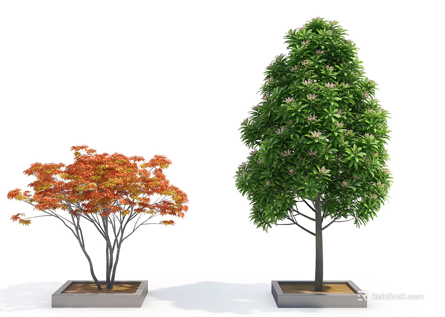 Potted Trees With Red And Green Leaves In Square Planters On White Background 3d model 