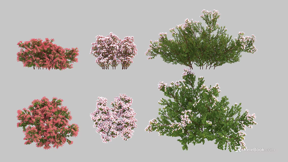 Various Types Of Colorful Flowering Shrubs With Different Colors And Lush Foliage 3d model 