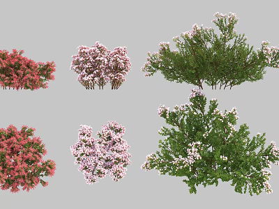 Various Types Of Colorful Flowering Shrubs With Different Colors And Lush Foliage 3d model