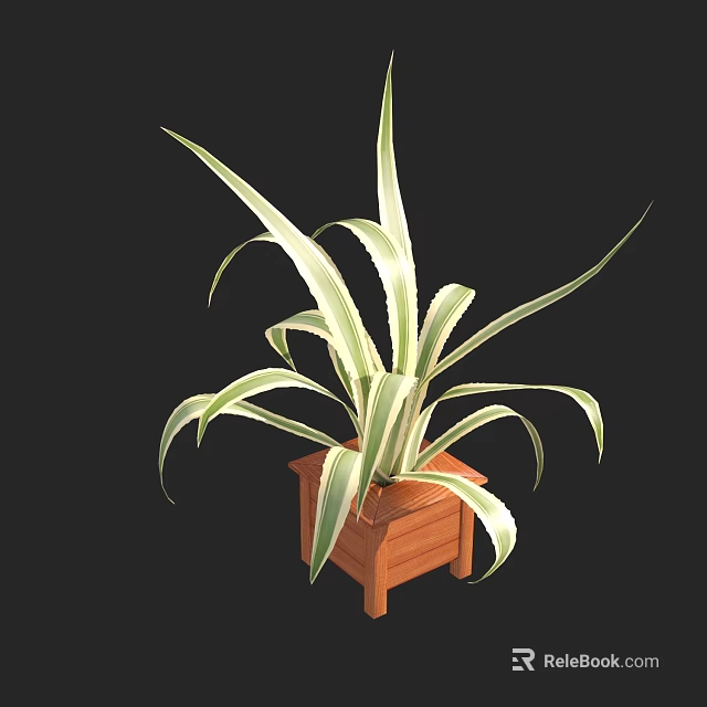 Decorative Potted Bonsai Plant With Long Striped Green And White Leaves In Wooden Square Pot 3d model 