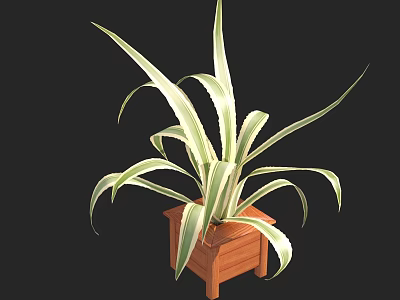 Decorative Potted Bonsai Plant With Long Striped Green And White Leaves In Wooden Square Pot 3d model
