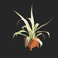 Decorative Potted Bonsai Plant With Long Striped Green And White Leaves In Wooden Square Pot
