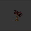 Red Maple Tree With Curved Branches Red Leaves Fallen Leaves Stone Path And Lantern
