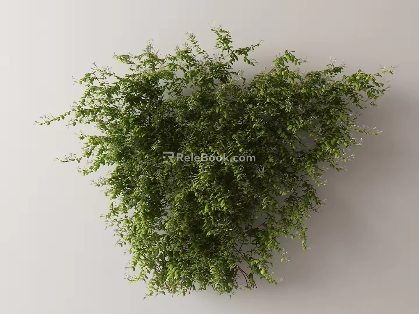 Modern Vine 3d model